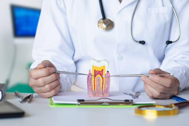 Best Tooth Pain Emergency Relief  in Quincy, IL